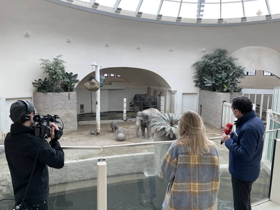 tierpark hellabrunn